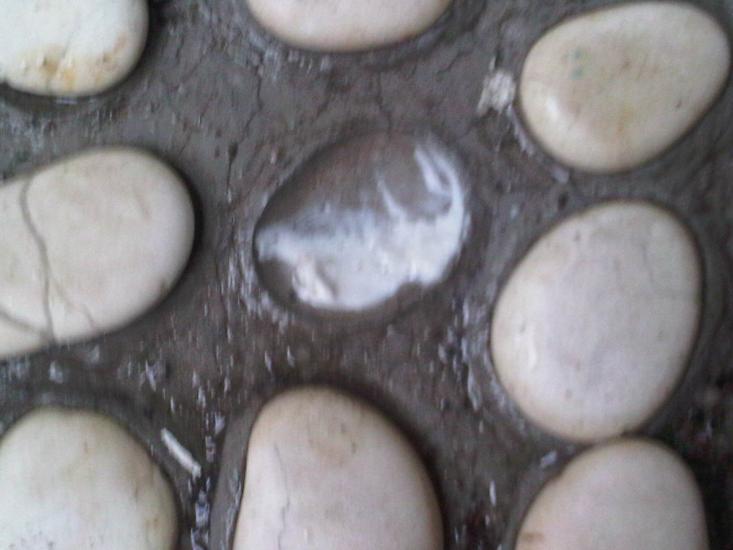 Diolesi Campuran DEMP-X