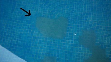 Beberapa Mozaik Lepas