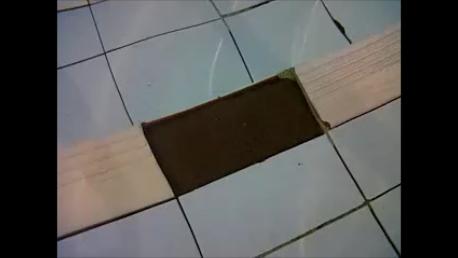 Keramik Kolam Renang Lepas